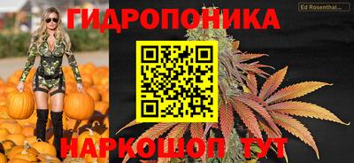 мдпв Можга